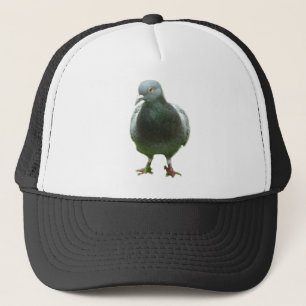Duiven op een pet