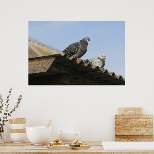 Duiven op het dak. poster (Keuken)