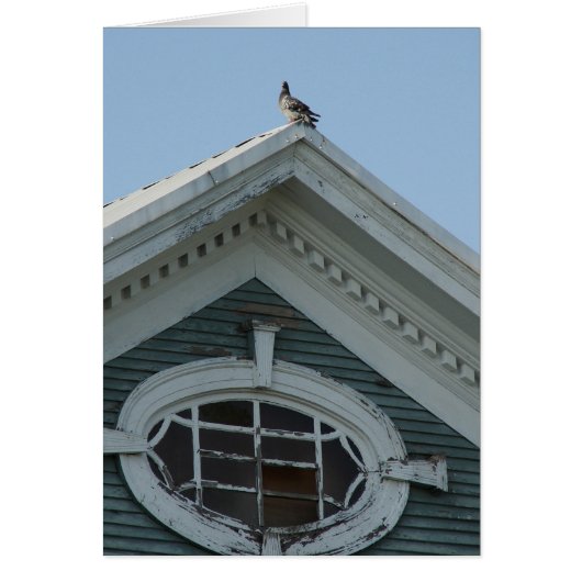 Duiven op het Oude Huis (Voorkant)