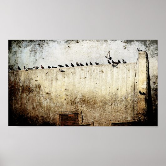 duiven poster (Voorkant)