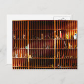 duivengat in Computer Science Briefkaart (Voorkant / Achterkant)