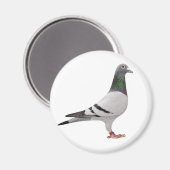 duivenontwerp magneet (Voorkant / Achterkant)