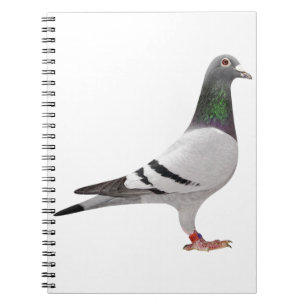 duivenontwerp notitieboek