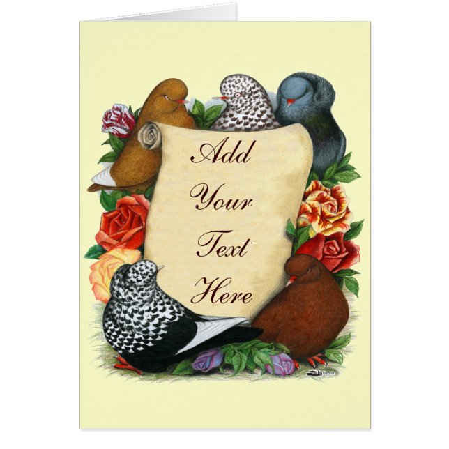 Duivenrol (Voorkant)