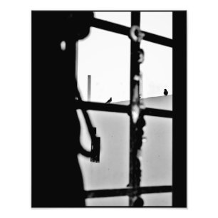 DuivenUitzicht Foto Afdruk