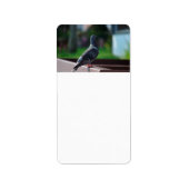 duivenvederdier etiket (Voorkant)