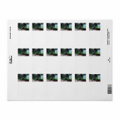 duivenvederdier etiket (Full Sheet)