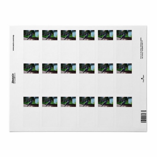 duivenvederdier etiket (Full Sheet)