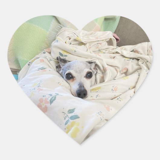 duizelige stekker hart sticker (Voorkant)