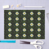 Duizelingwekkend Daisy Tissue Paper Tissuepapier (Craft)