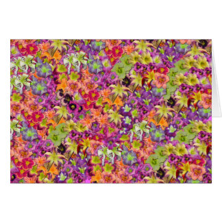 Duizenden Daylilies!