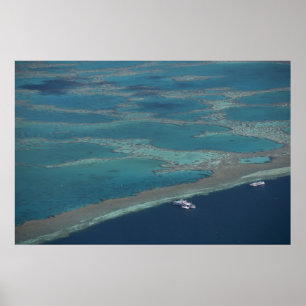 Dukplatforms nabij rif, Great Barrier Poster