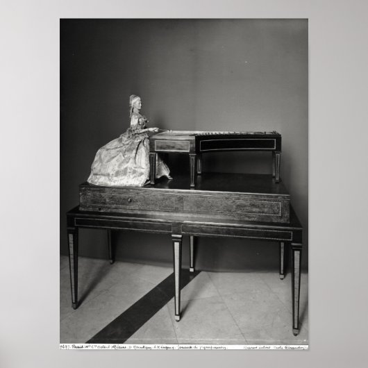 Dulcimeerspeler Poster (Voorkant)