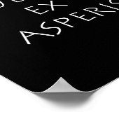 Dulcius ex asperis poster (Hoek)