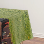 Duluth Mesabi Gamme de fer Locomotive 316 nappe (In Situ)