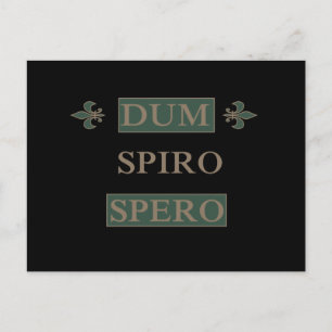 Dum spiro spero briefkaart
