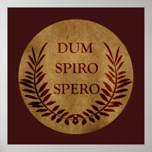 dum spiro spero, Latijnse uitdrukking Poster