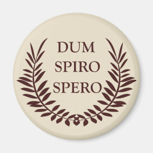 Dum spiro spero magneet