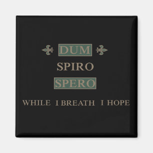 Dum spiro spero magneet