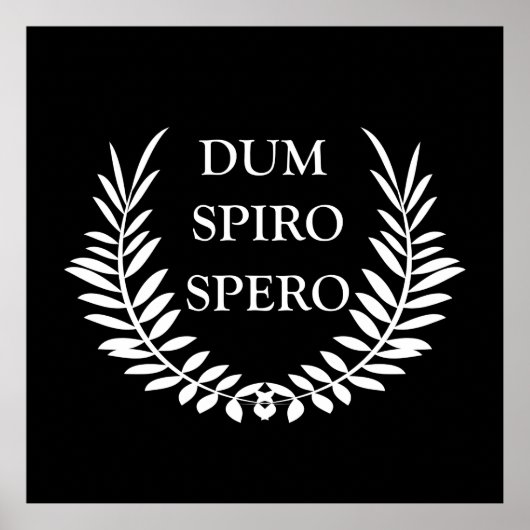 dum spiro spero poster (Voorkant)