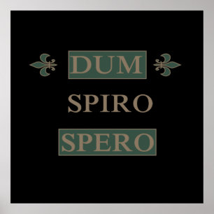 dum spiro spero poster
