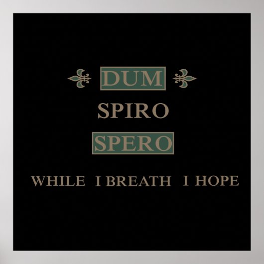 Dum spiro spero poster (Voorkant)