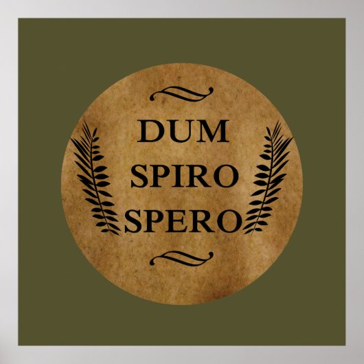 Dum spiro spero poster (Voorkant)