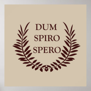 Dum spiro spero poster
