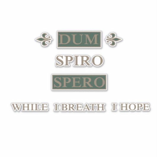 Dum spiro spero sticker (Voorkant)