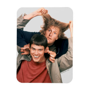 Dumb & Dumber Lloyd en Harry Magneet