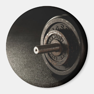 Dumbbell Magneet