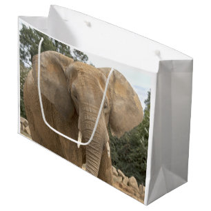 Dumbo-cadeautas Large Cadeauzakje