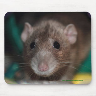 Dumbo Fancy Rat Mousepad Muismat