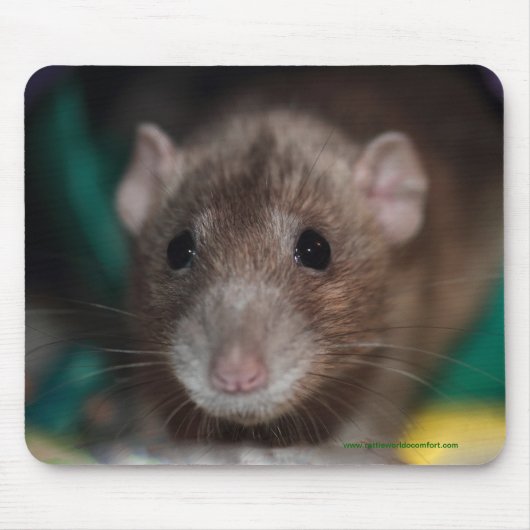 Dumbo Fancy Rat Mousepad Muismat (Voorkant)