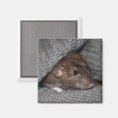 Dumbo Rat Magnet Magneet (Voorkant / Achterkant)