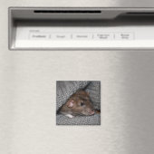 Dumbo Rat Magnet Magneet (Insitu (Vaatwasser))