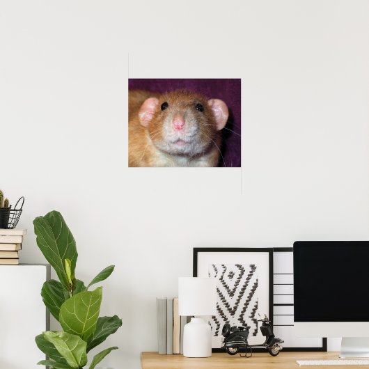Dumbo Rat Poster (Thuiskantoor)
