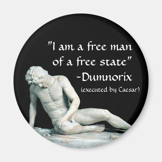 Dumnorix Magneet (Voorkant)