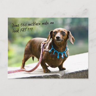 Dumpling Shows van haar Pareltjes Briefkaart