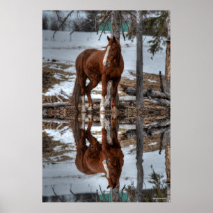 Dun Ranch Horse Drink Hole Equine-foto Poster