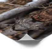 Dun Ranch Horse Drink Hole Equine-foto Poster (Hoek)