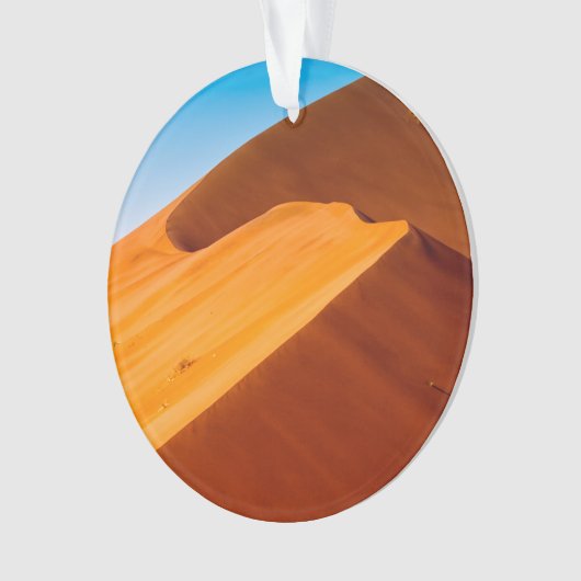 Dune 45 ornament (voorkant)