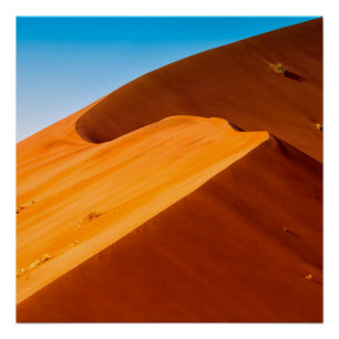 Dune 45 perfect poster