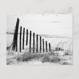 Dune Fence in Snow Briefkaart