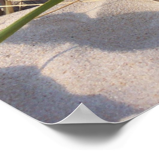 Dune Grass Poster (Hoek)