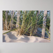 Dune Grass Poster (Voorkant)
