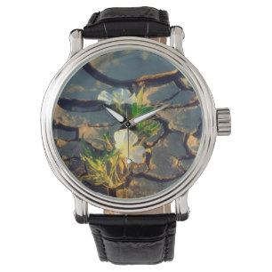 Dune Primrose groeit uit gebarsten modder Horloge