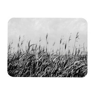 Dune Triptych III Magneet