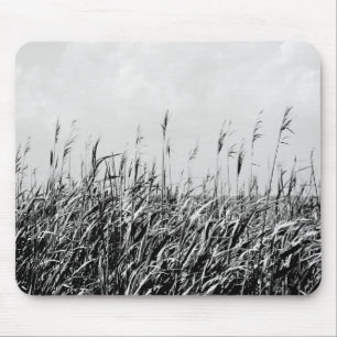 Dune Triptych III Muismat