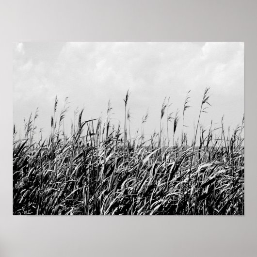 Dune Triptych III Poster (Voorkant)